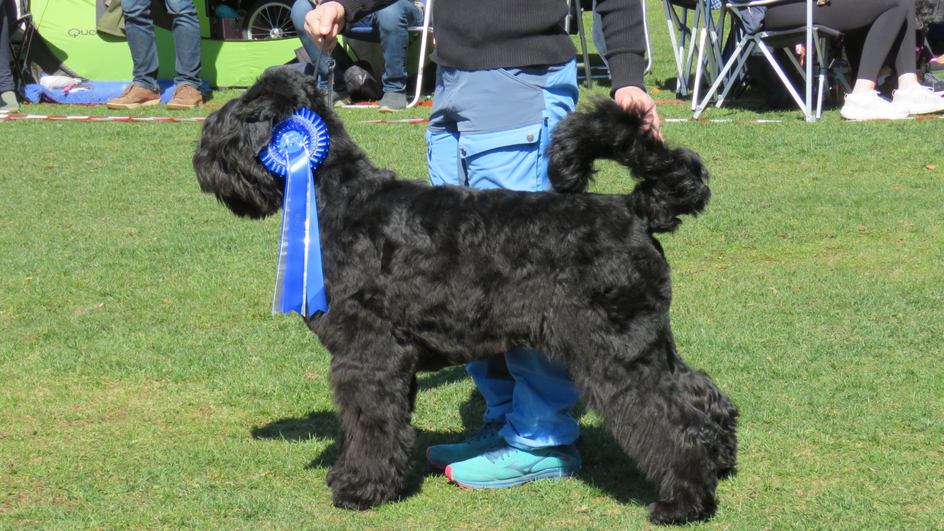 Alba, BIG 2 on her second show